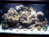 100_2368.jpg