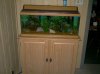 new reef 001.jpg