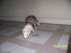 Picture 162.jpg