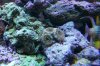 100_1727.JPG