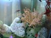 DSC04923.JPG