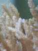DSC04925.JPG