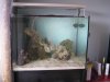 Aquascaping done.jpg
