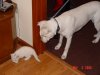 DSC02983.jpg