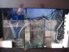 Sump with skimmer.jpg