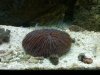 IMG00081-20100116-2021.jpg