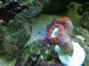 IMG00083-20100116-2021.jpg
