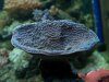 000_0687.jpg