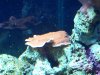 000_0678.jpg