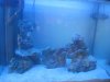 new aquascaping.jpg