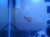 fishtank.jpg