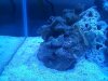 fishtank2.jpg