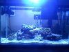 fishtank3.jpg