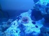 fishtank4.jpg