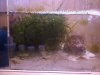 refugium1.jpg