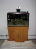 Tank Before 1-17-10 041.jpg