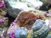 100_0378.jpg