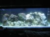 01-19-10 002.jpg