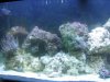 01-19-10 005.jpg