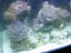 01-19-10 009.jpg
