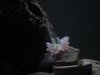 DSCN4567.jpg