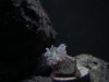 DSCN4566.jpg