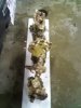 Aquascape Designed At LFS 2.jpg