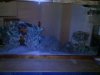 Aquascape 2.0.jpg