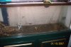 100_1629.jpg
