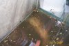 100_1631.jpg