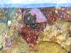 01-22-10 027.jpg
