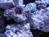 DSCN1428_108.jpg