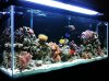 13026_8.jpg
