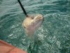 Fishing5 022.jpg