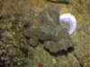 DSCN4578.jpg