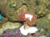 DSCN4576.jpg