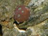 DSCN4579.jpg