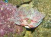 DSCN4585.jpg