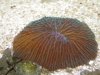 DSCN4584.jpg
