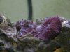 DSCN4583.jpg