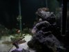 DSCN4569.jpg