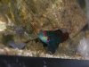DSCN4592.jpg
