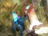 DSCN4598.jpg