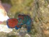 DSCN4601.jpg