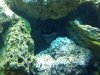 2010-02-03_21.19.53.jpg