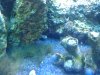 2010-02-03_21.32.25.jpg