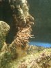 nudi1.jpg