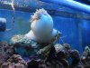 DSC00442.jpg