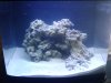 biocube2.jpg