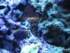 IMG_0269.JPG
